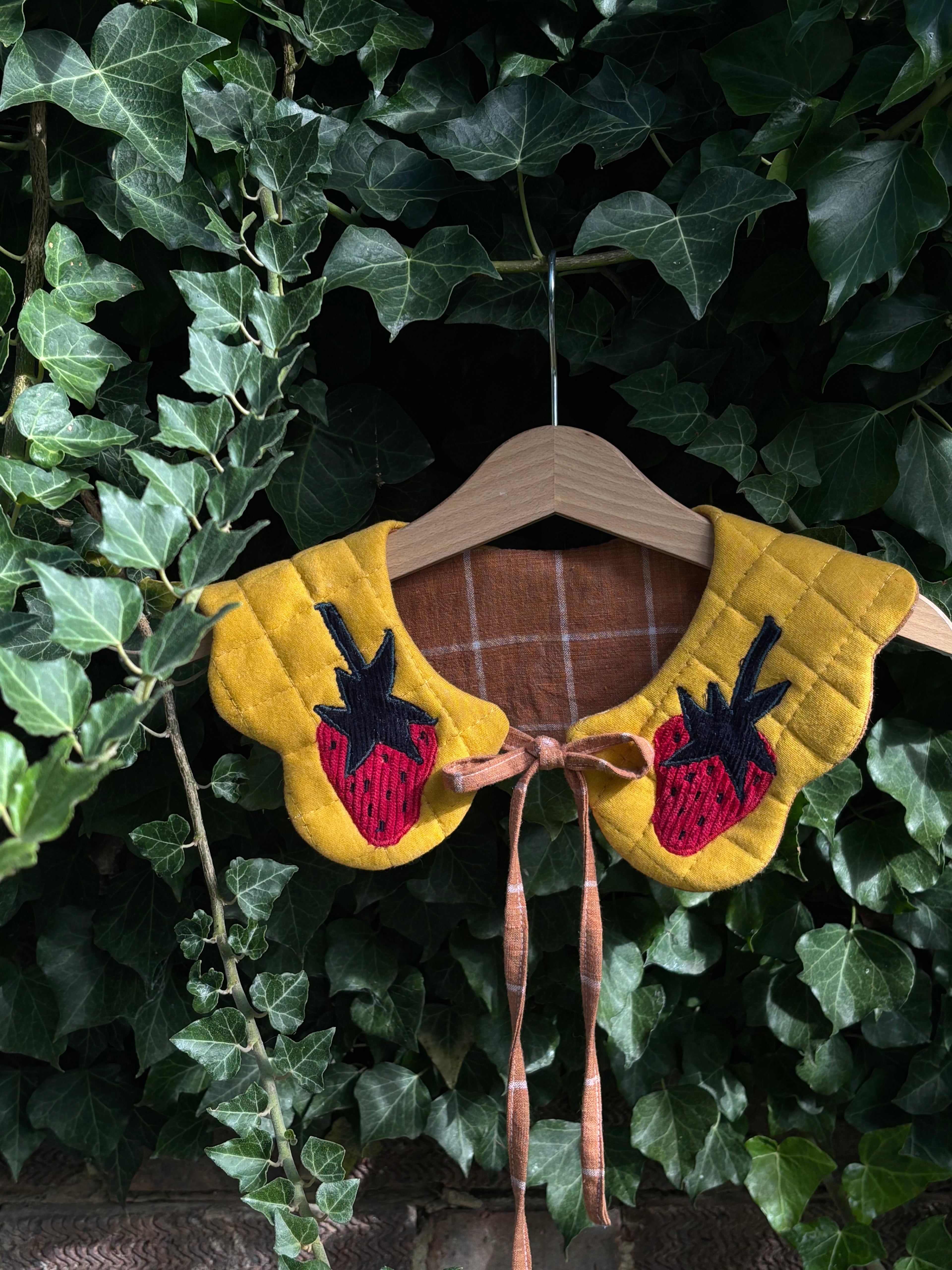 Strawberries scalloped collar